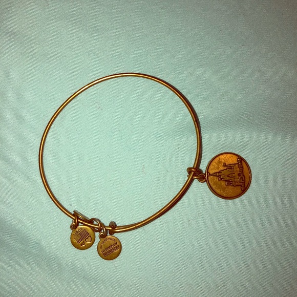 alex and ani bracelet - Picture 1 of 1
